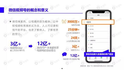 小红花爆料新闻视频下载,热门新闻视频幕后下载攻略 第2张 小红花爆料新闻视频下载,热门新闻视频幕后下载攻略 第2张