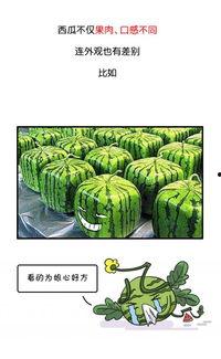 武汉吃瓜群众最新爆料事件,揭秘背后惊人真相  第3张