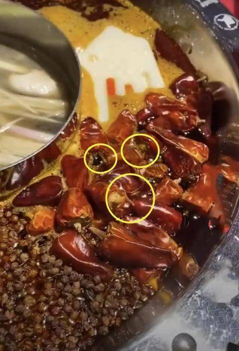 火锅各种爆料视频播放,热门爆料视频带你探秘火锅世界