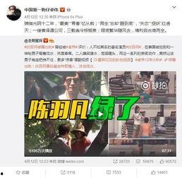 翔宇爆料预告视频,揭秘神秘事件，悬念重重引期待
