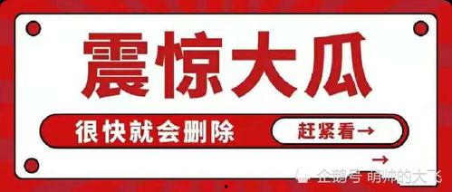 娱乐圈八卦文件吃瓜,明星背后的惊人真相,吃瓜群众必看! 第2张 娱乐圈八卦文件吃瓜,明星背后的惊人真相,吃瓜群众必看! 第2张