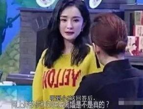 卓伟爆料过杨幂吗视频播放,揭秘娱乐圈背后的真相  第1张 卓伟爆料过杨幂吗视频播放,揭秘娱乐圈背后的真相  第1张