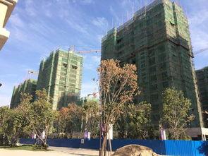 长春公馆爆料最新消息  第3张 长春公馆爆料最新消息  第3张