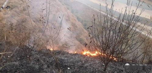 狮子山爆料视频播放,揭秘事件背后惊人真相  第1张 狮子山爆料视频播放,揭秘事件背后惊人真相  第1张