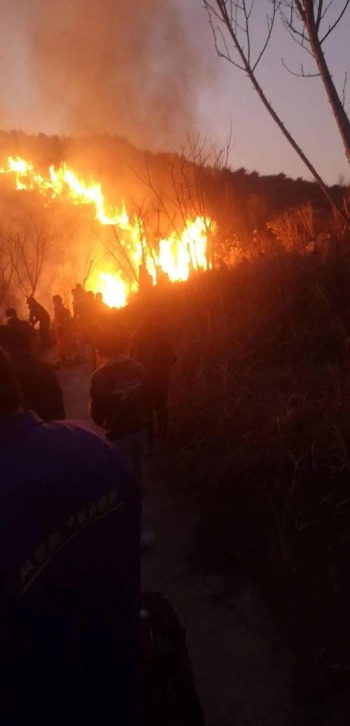 狮子山爆料视频播放,揭秘事件背后惊人真相  第2张 狮子山爆料视频播放,揭秘事件背后惊人真相  第2张
