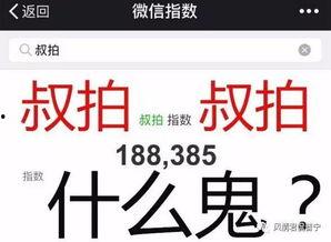 今日头条爆料幺妈和幺叔,揭秘娱乐圈背后的温情故事  第3张 今日头条爆料幺妈和幺叔,揭秘娱乐圈背后的温情故事  第3张